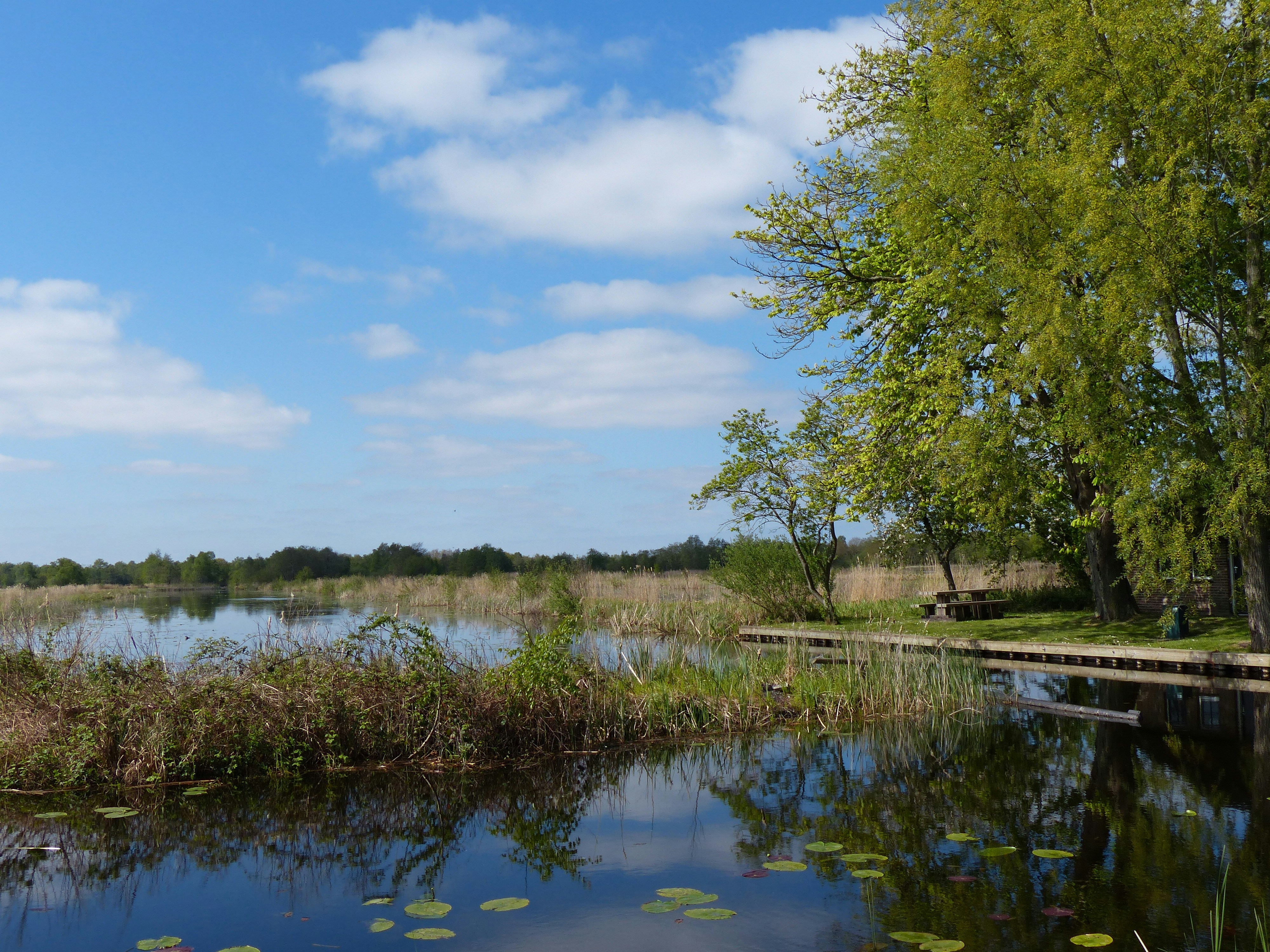 Kanoen op de weerribben