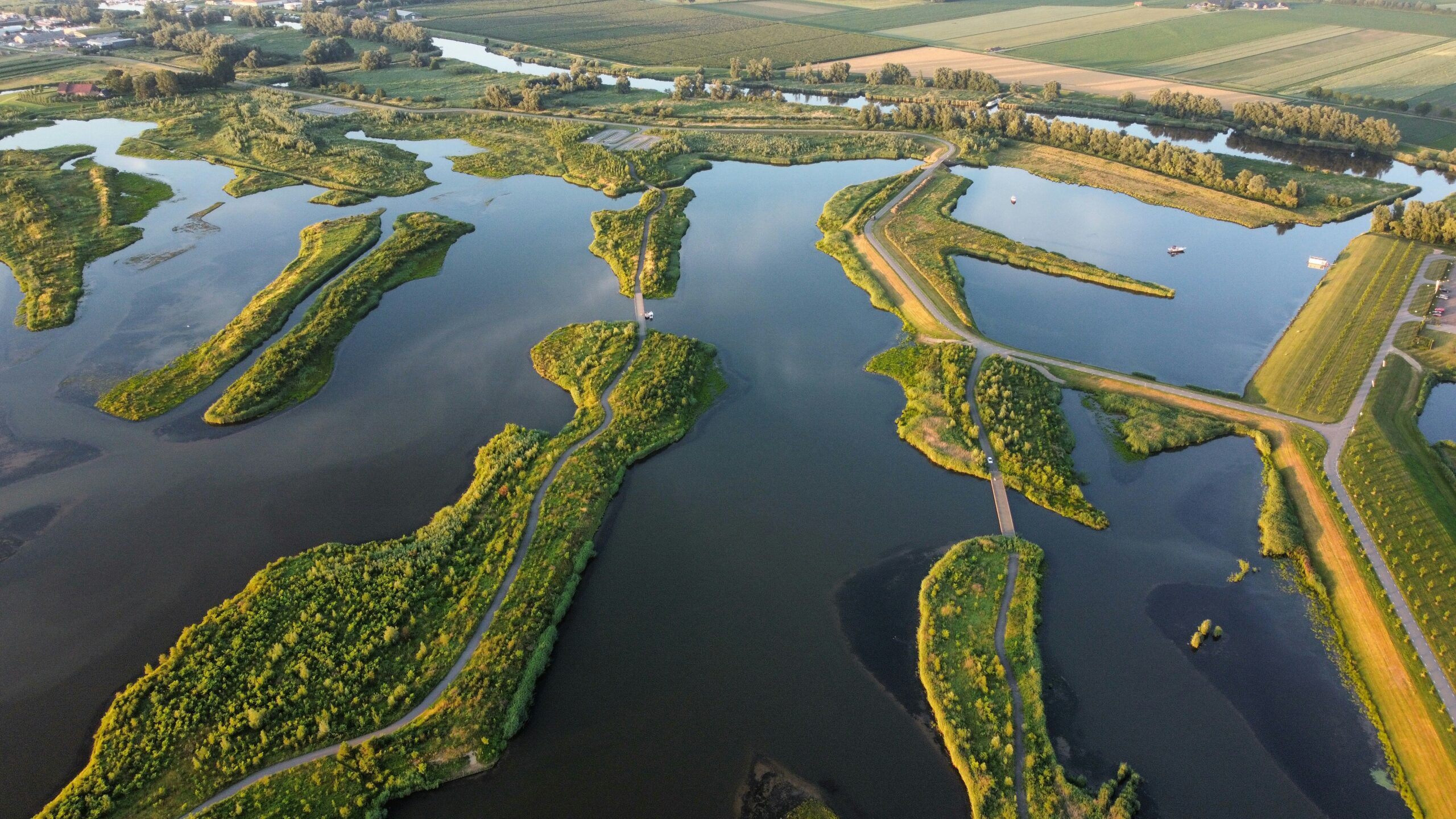 Met een fluisterboot door de Biesbosch: natuur, dichtbij huis